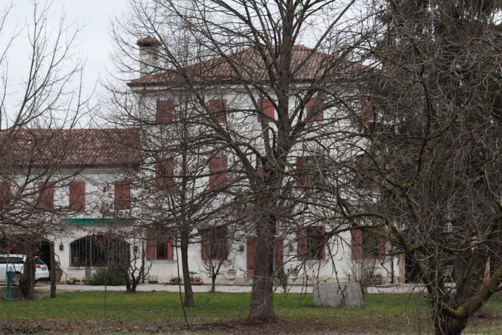 foto panoramica dell'azienda agricola Benozzi